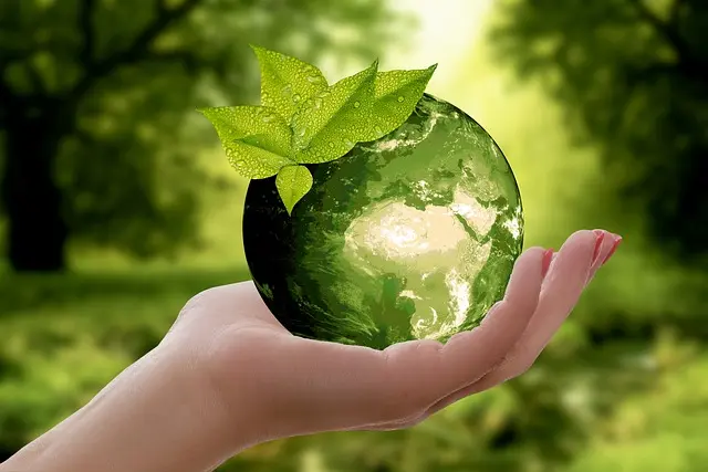 How Smart Shops Are Adopting Eco-Friendly Practices