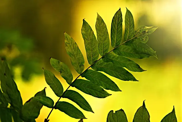 The Importance of Eco-Friendly Practices in Smart Shops