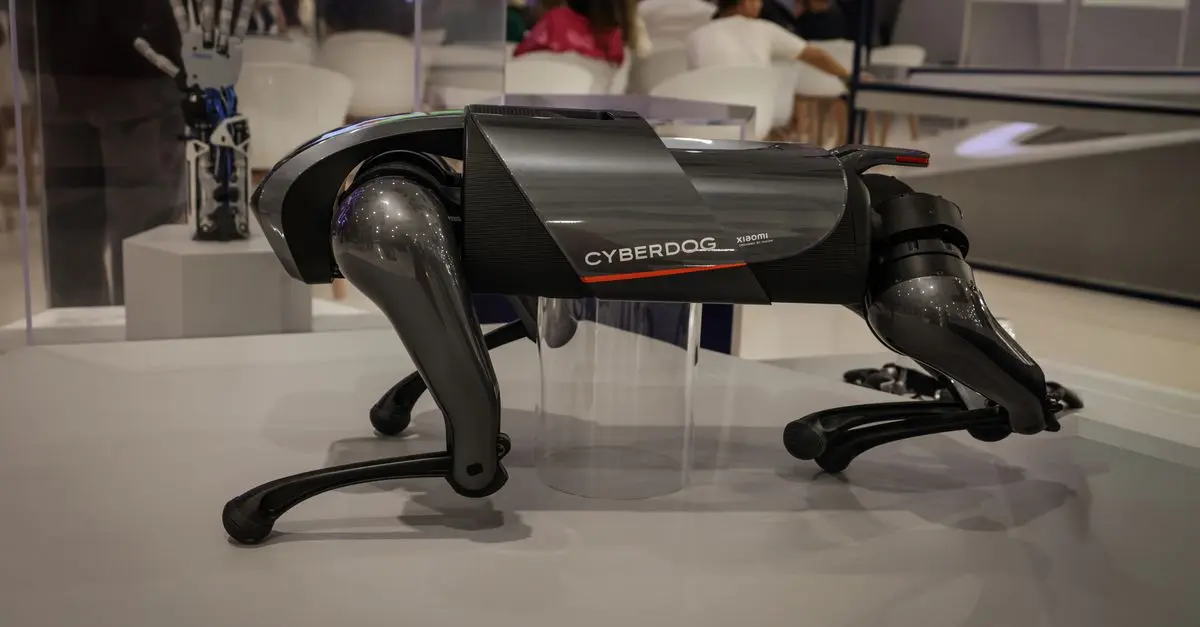 The Future of Smart Shops: Innovations to Watch